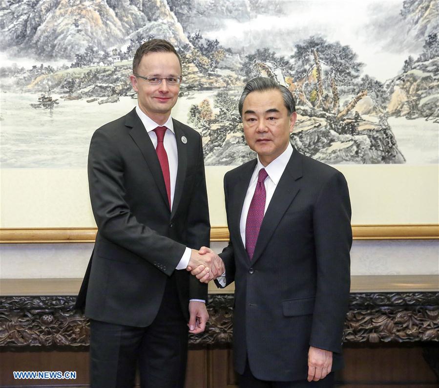 (BRF)CHINA-WANG YI-HUNGARY-FM-MEETING(CN)