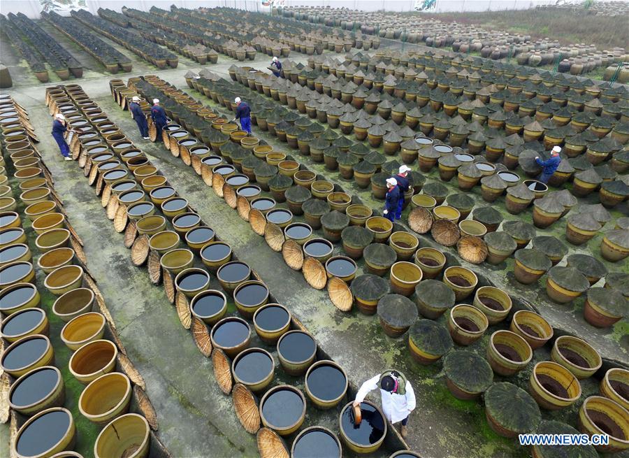 #CHINA-GUIZHOU-VINEGAR (CN)