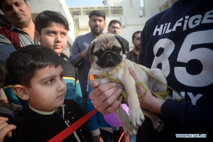 PAKISTAN-PESHAWAR-PET SHOW