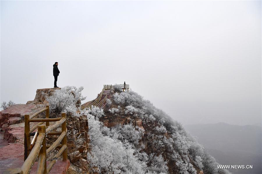 CHINA-HENAN-PINGDINGSHAN-FROST SCENERY (CN)