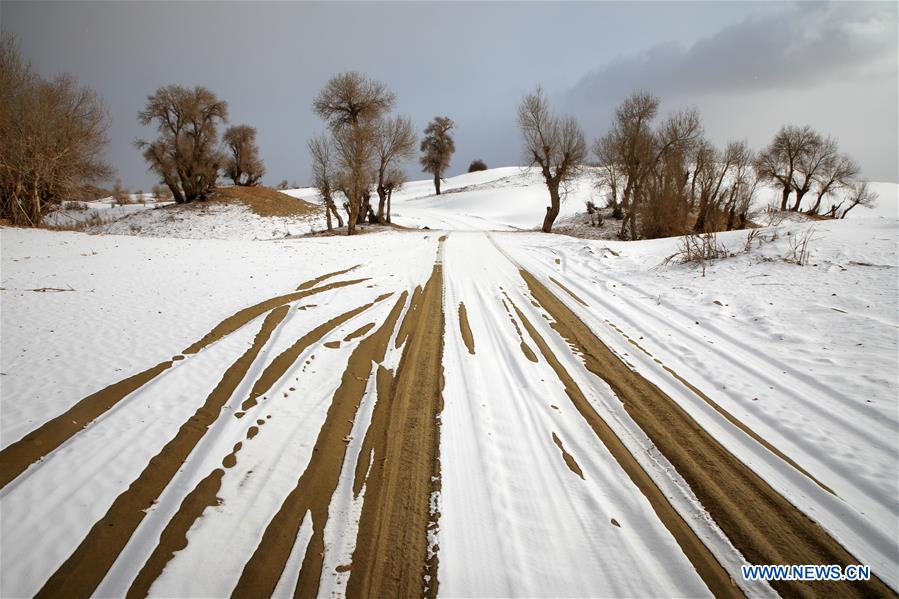 #CHINA-XINJIANG-TAKLIMAKAN DESERT-SCENERY (CN)