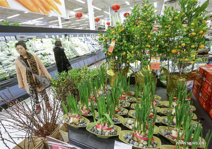 CANADA-VANCOUVER-CHINESE LUNAR NEW YEAR