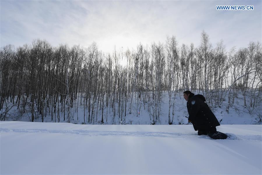 CHINA-INNER MONGOLIA-FOREST RANGER(CN)