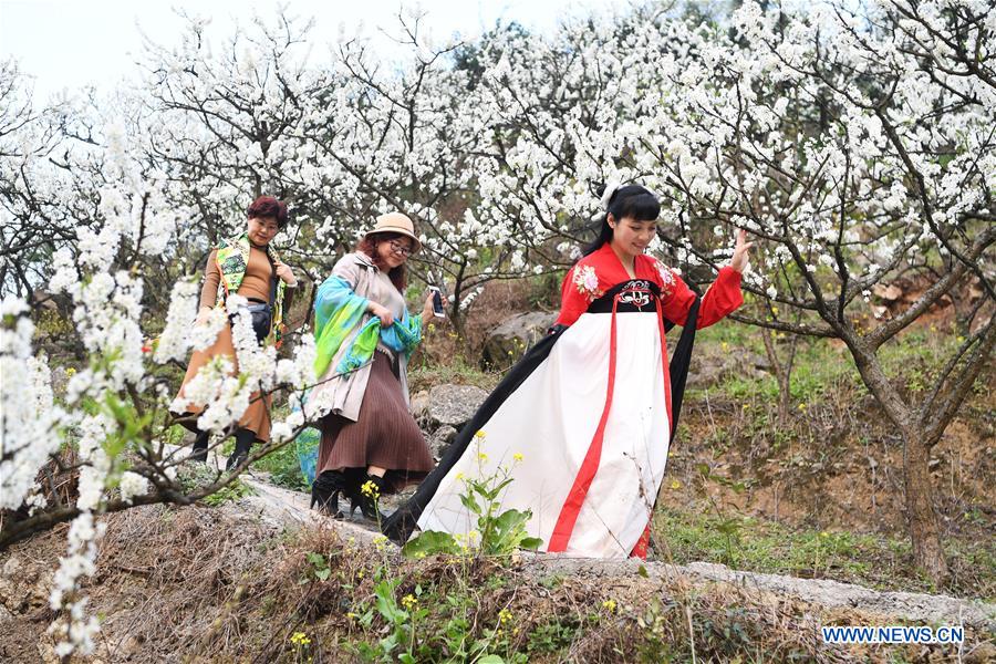 CHINA-CHONGQING-PLUM BLOSSOMS (CN)