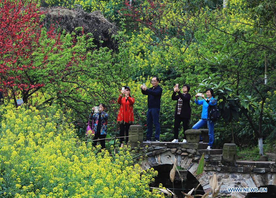 CHINA-CHONGQING-SPRING (CN)