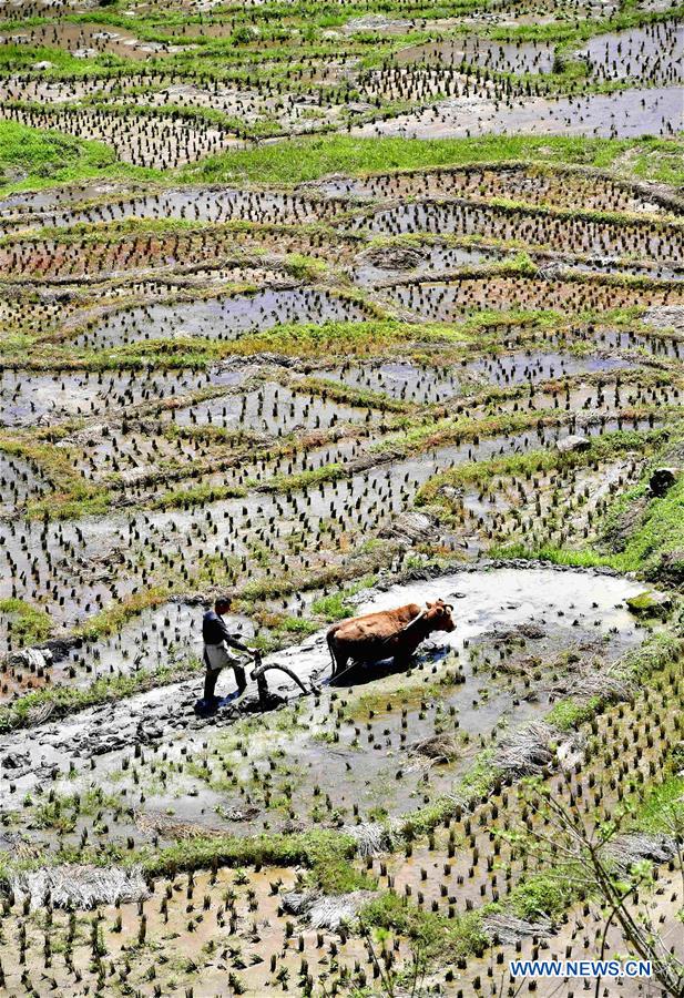 #CHINA-HUBEI-SPRING SCENERY (CN)