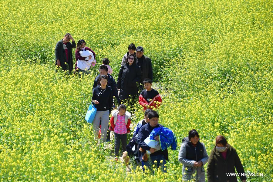 CHINA-HENAN-COLE FLOWERS (CN)