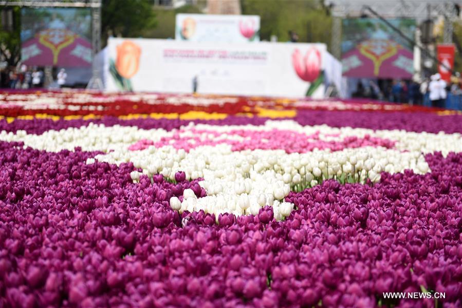 TURKEY-ISTANBUL-TULIP CARPET