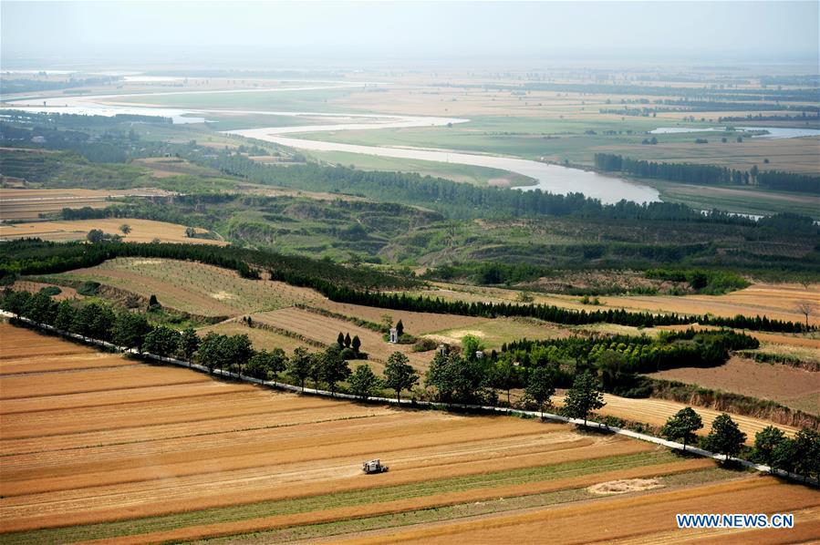 CHINA-SHAANXI-WHEAT-HARVEST (CN)