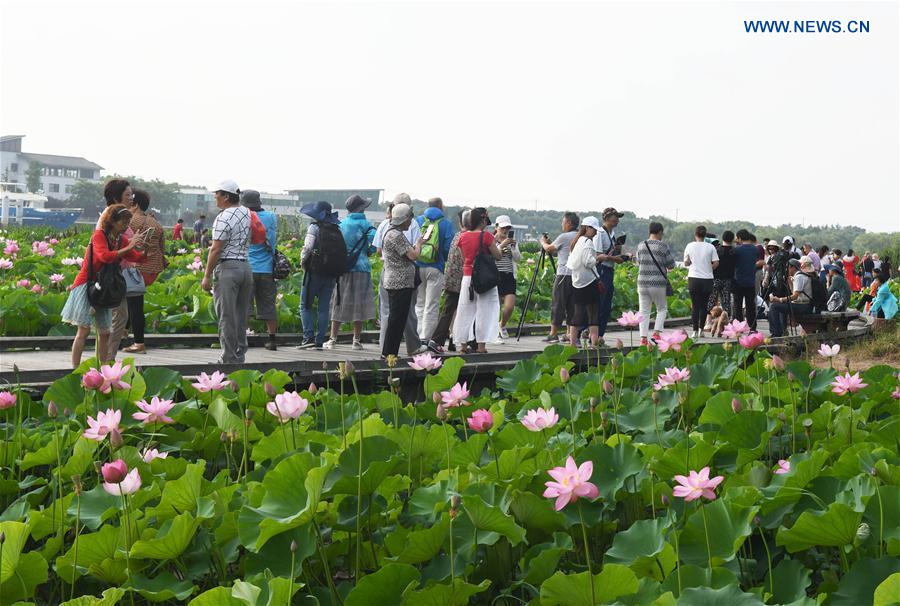 #CHINA-JIANGSU-WUXI-LOTUS(CN)