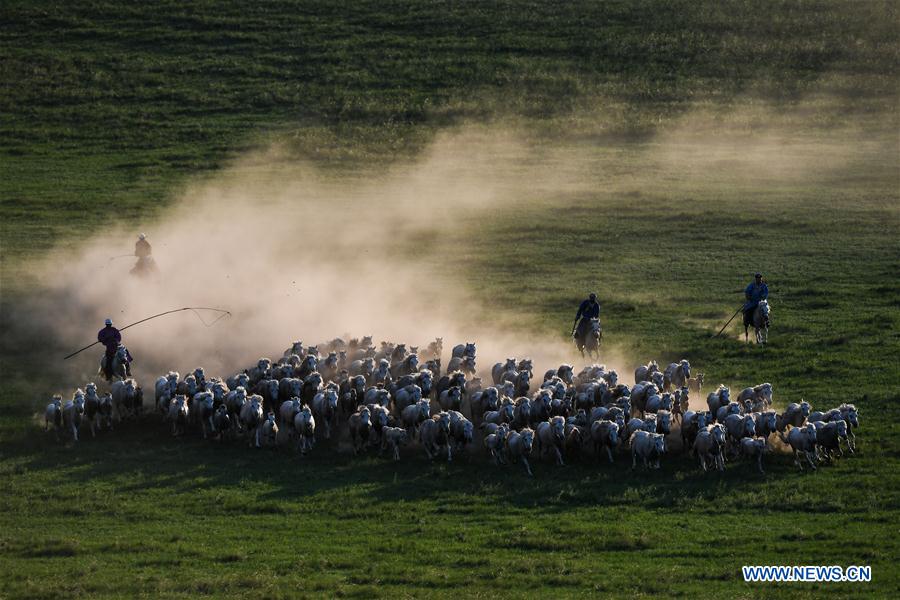 CHINA-INNER MONGOLIA-XILIN GOL-HORSE-SCENERY (CN)