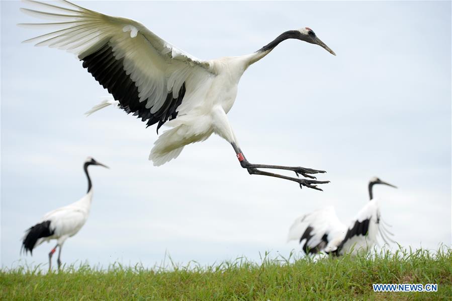 XINHUA PHOTO WEEKLY CHOICES