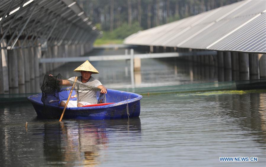 CHINA-JIANGSU-PV POWER PLANT (CN)