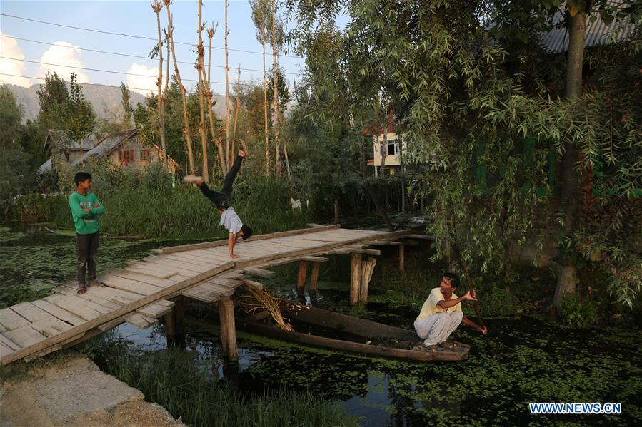 KASHMIR-SRINAGAR-DAL LAKE-DAILY LIFE