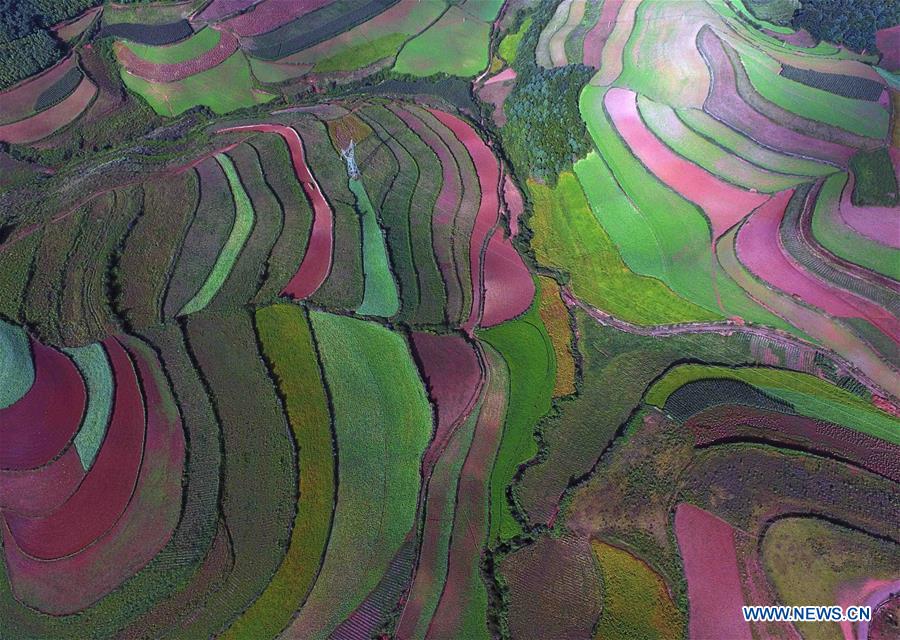 CHINA-YUNNAN-DONGCHUAN RED LAND-SCENERY (CN)