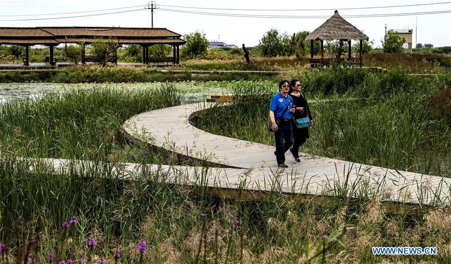 CHINA-GANSU-ZHANGYE-WETLAND (CN)