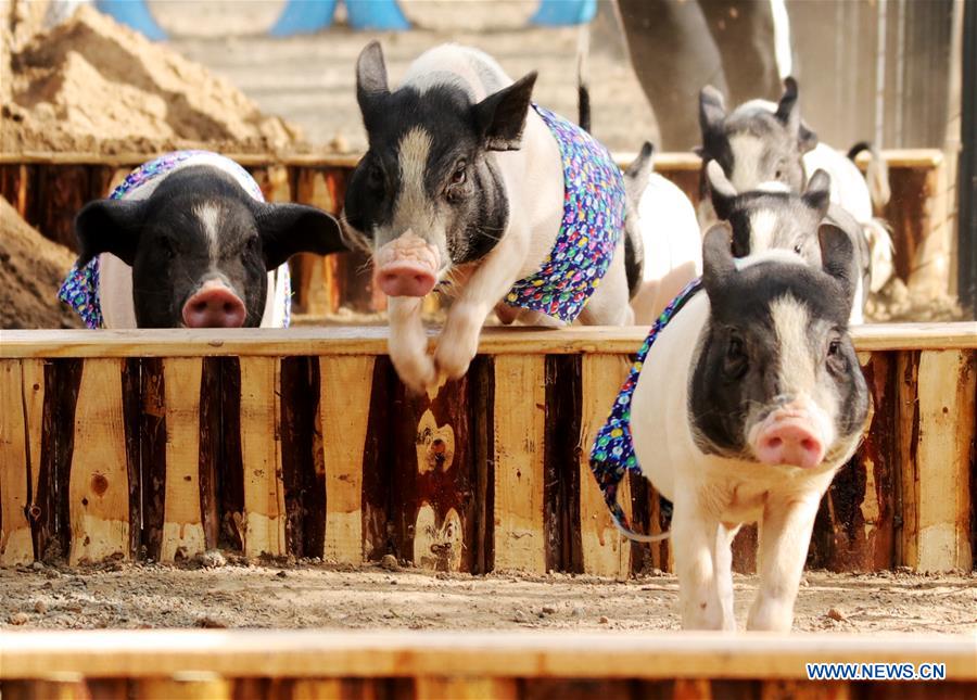 #CHINA-HEBEI-VILLAGE-FAIR (CN)