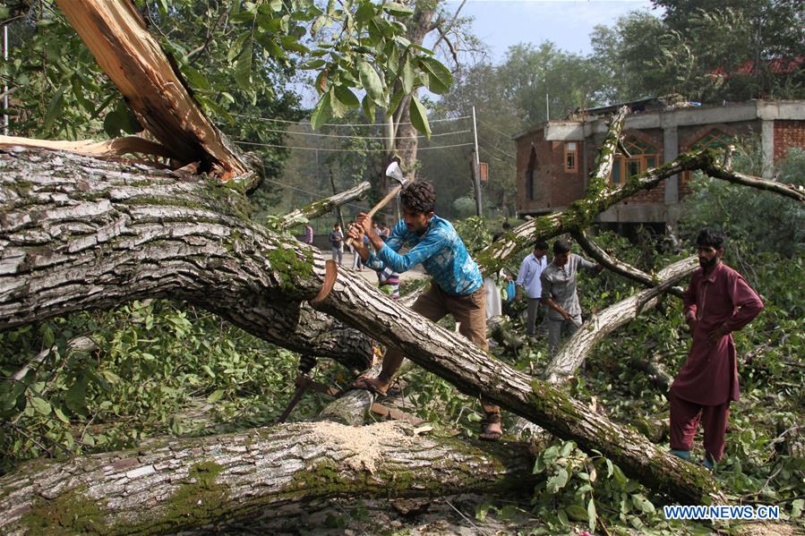 KASHMIR-SRINAGAR-WINDSTORM