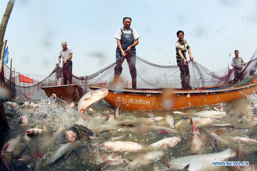 #CHINA-JIANGSU-CHANGDANG LAKE-FISHING (CN)