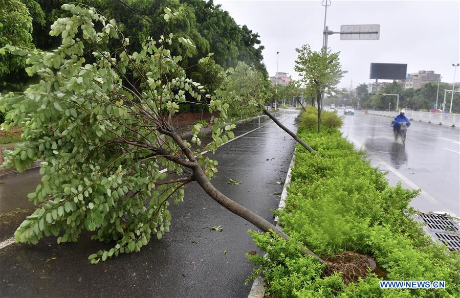 CHINA-GUANGXI-TYPHOON MANGKHUT(CN)