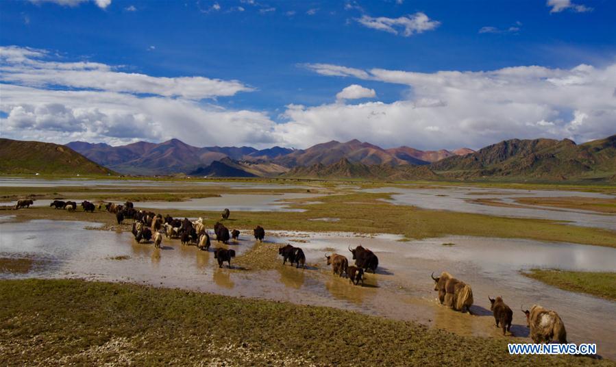 CHINA-TIBET-YARLUNG ZANGBO RIVER-SOURCE-PROTECTION (CN)