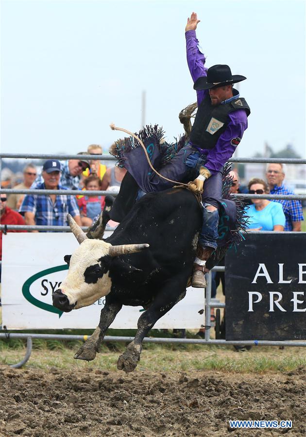 (SP)CANADA-ONTARIO-CHATHAM KENT-RODEO