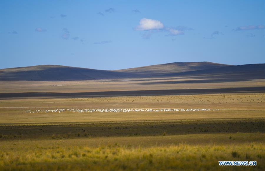 CHINA-INNER MONGOLIA-ULGAI GRASSLAND-SCENERY(CN)