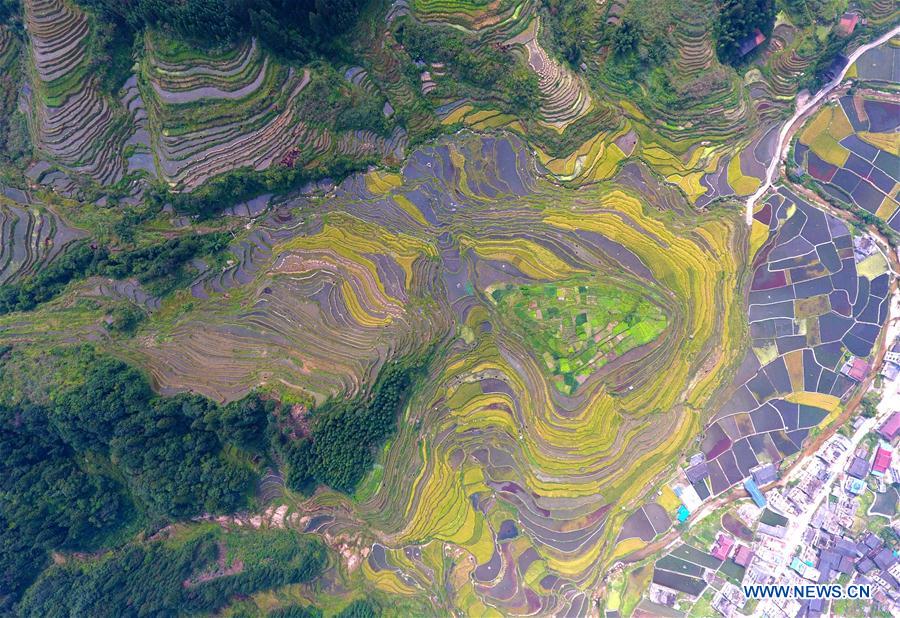 CHINA-GUANGXI-TERRACED FIELD-SCENERY (CN)