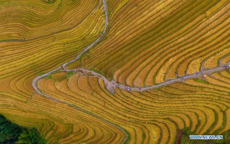 CHINA-GUANGXI-TERRACED FIELD-SCENERY (CN)