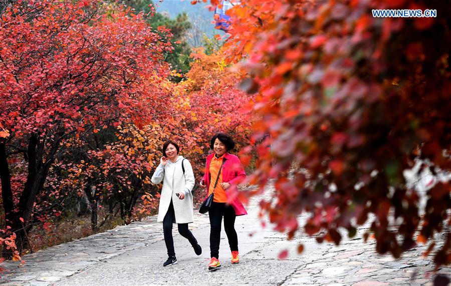 CHINA-BEIJING-BADACHU-AUTUMN SCENERY(CN)