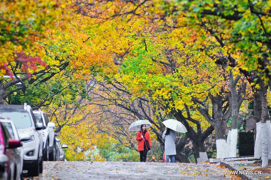 #CHINA-QINGDAO-BADAGUAN-SCENERY(CN)