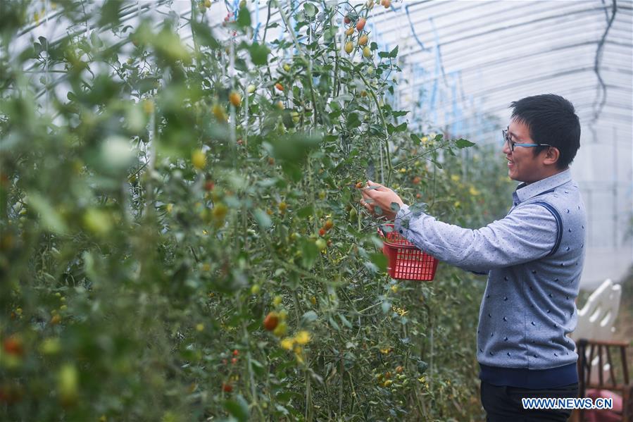 CHINA-ZHEJIANG-DONGLIN-ECOLOGICAL AGRICULTURE (CN)