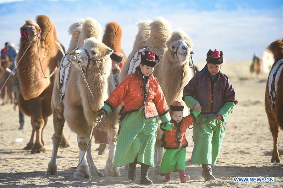 CHINA-INNER MONGOLIA-BAYAN NUR-CAMEL FESTIVAL (CN)