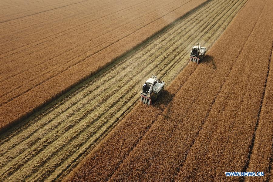 #CHINA-JIANGSU-AGRICULTURE-HARVEST (CN) 