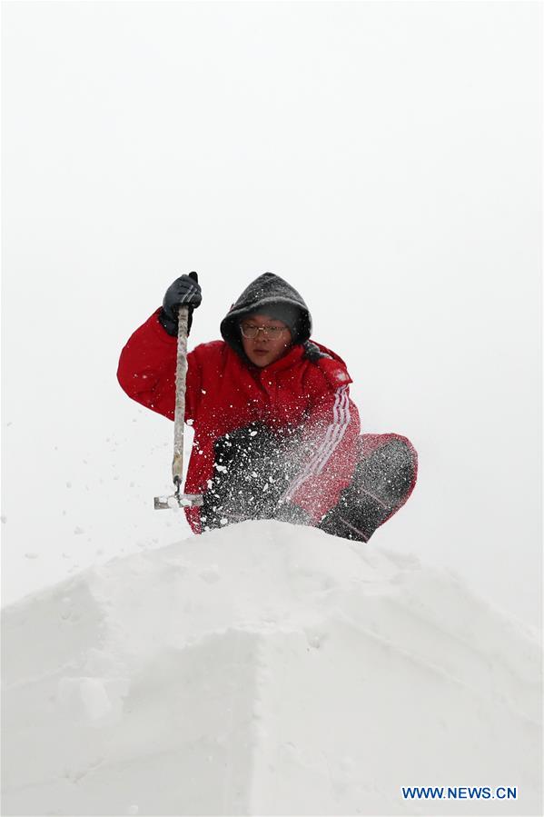 CHINA-HARBIN-SNOW SCULPTURE (CN)