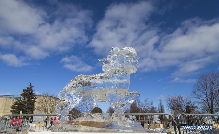 CANADA-MARKHAM-ICE AND SNOW FESTIVAL