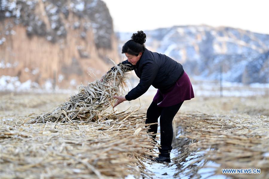 CHINA-SHANXI-VILLAGE-POVERTY ALLEVIATION(CN)