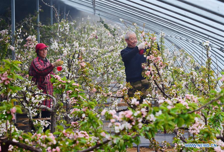 #CHINA-EARLY SPRING-AGRICULTURE(CN)