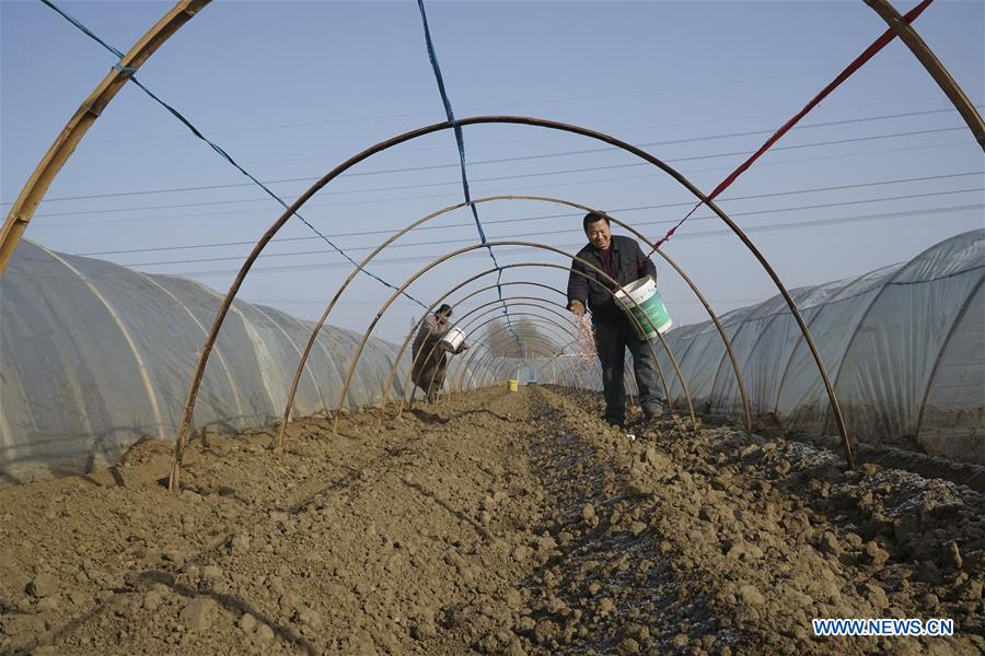 CHINA-EARLY SPRING-AGRICULTURE(CN)