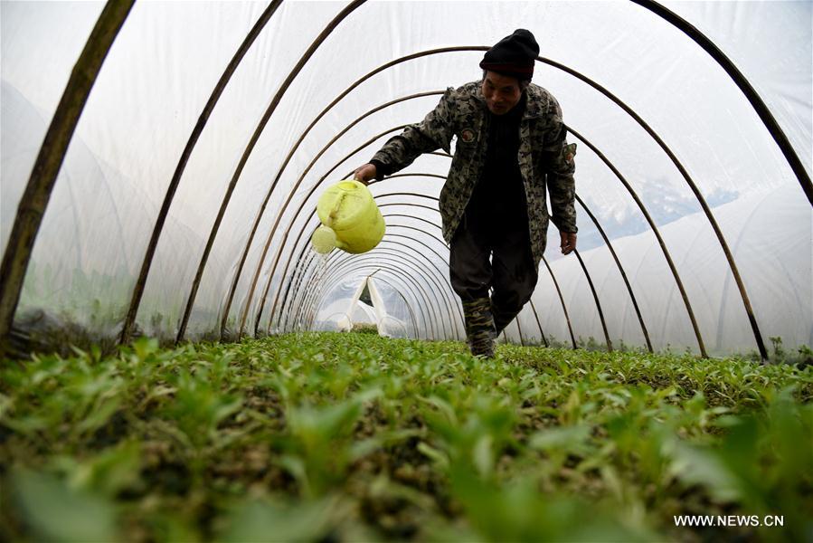 #CHINA-EARLY SPRING-FARM WORK (CN)