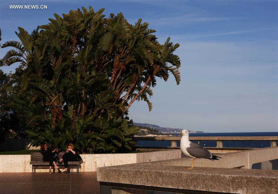 MONACO-SCENERY