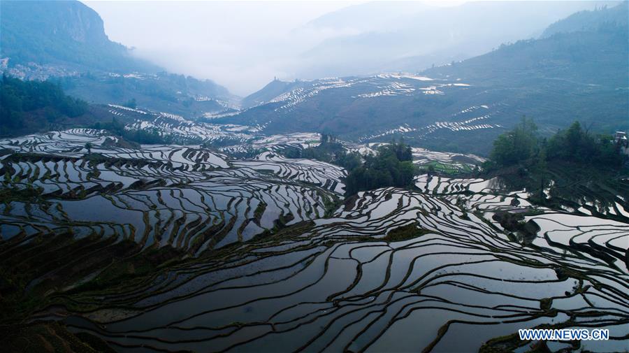 CHINA-YUNNAN-HANI TERRACED FIELDS-VIEWS (CN)