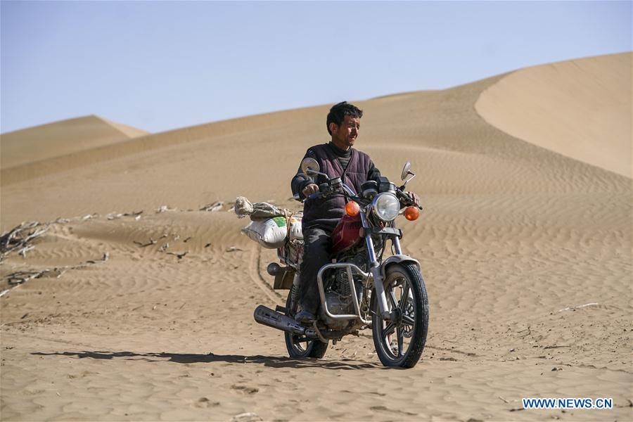 Xinhua Headlines: Farewell to the desert: fighting poverty the Chinese way