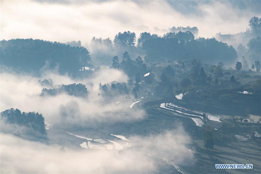 #CHINA-CHONGQING-WEATHER-FOG (CN)