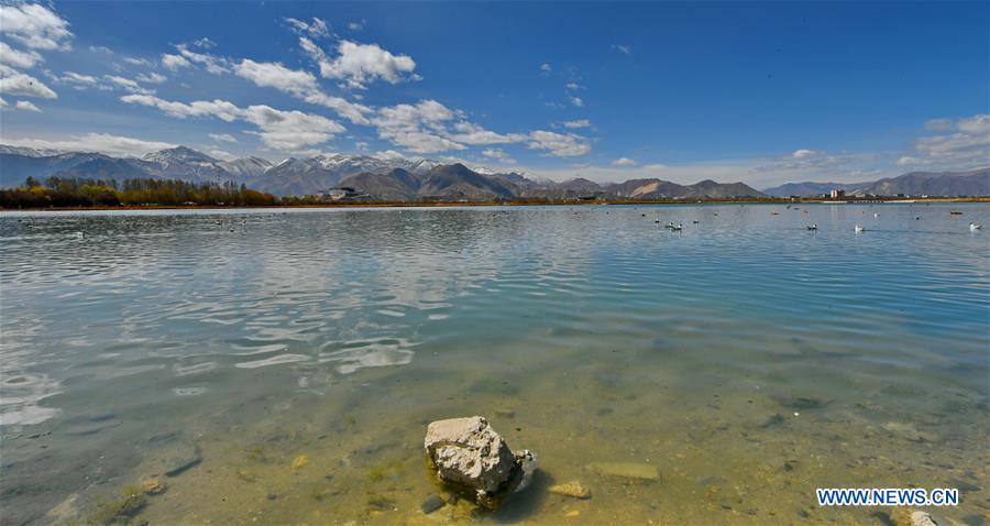 CHINA-TIBET-LHASA-WETLAND-SPRING