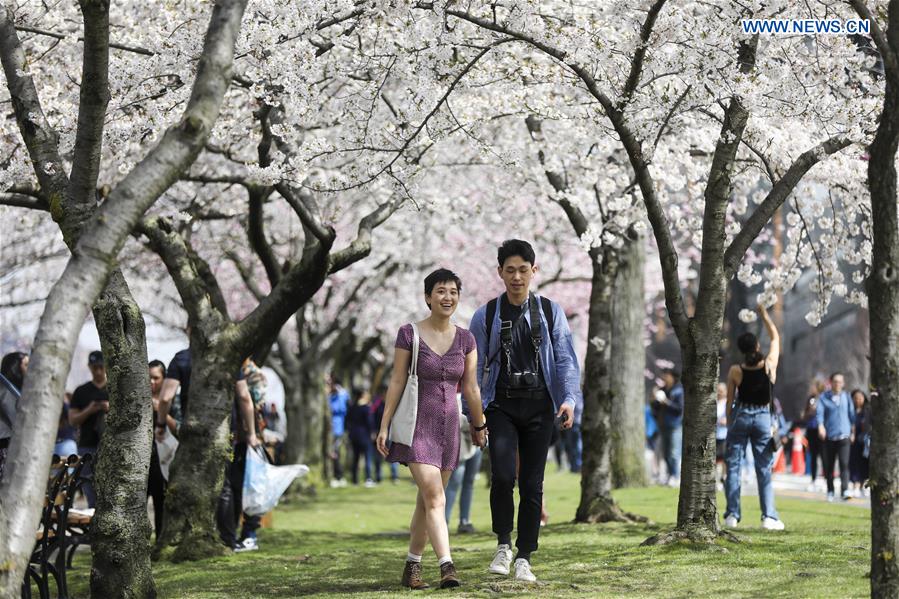 U.S.-NEW YORK-CHERRY BLOSSOM FESTIVAL