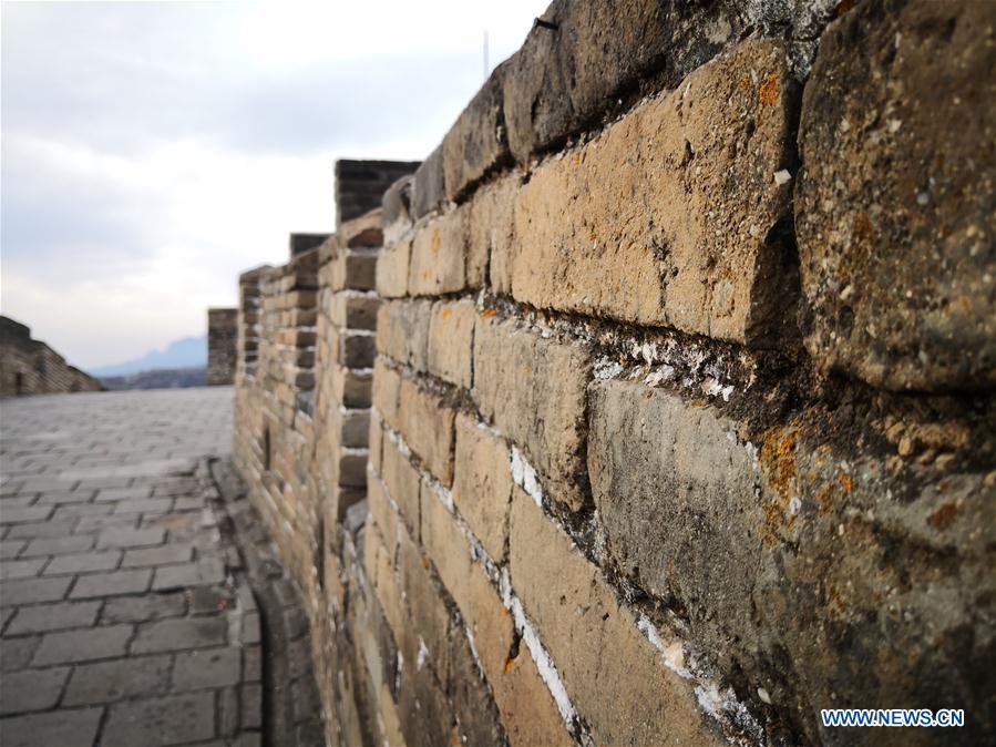 (Beijingcandid)CHINA-BEIJING-GREAT WALL-SPRING SCENERY (CN)