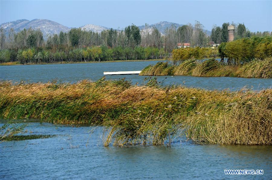 Xinhua Headlines: Xuzhou: How to save an industrial city 