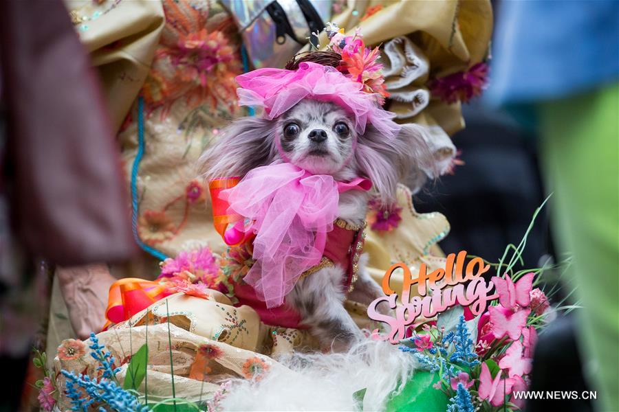 U.S.-NEW YORK-EASTER PARADE-BONNET FESTIVAL