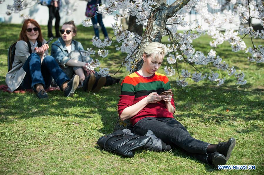 LITHUANIA-VILNIUS-CHERRY BLOSSOMS